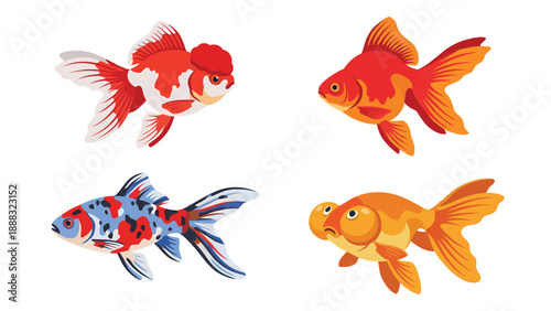 Goldfish Variety Illustration: Aquatic Pets in Vibrant Colors