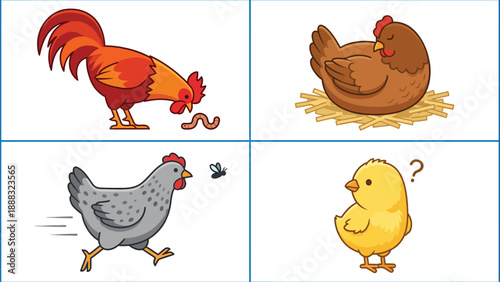 Cartoon Chicken Life Cycle: Rooster, Hen, Chick, Cartoon Style Illustration