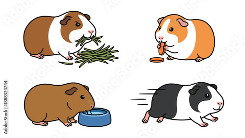 Guinea Pig Activities: Eating, Drinking, Running - Cartoon Illustration