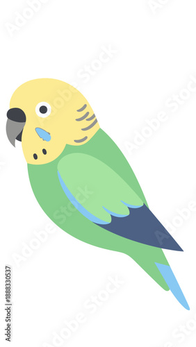 Cute Budgie Bird Illustration - Green and Yellow Budgerigar