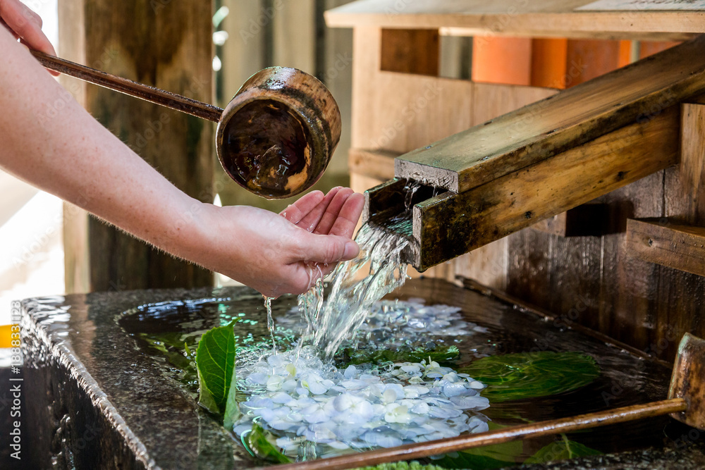 Fototapeta premium Woman pouring water 