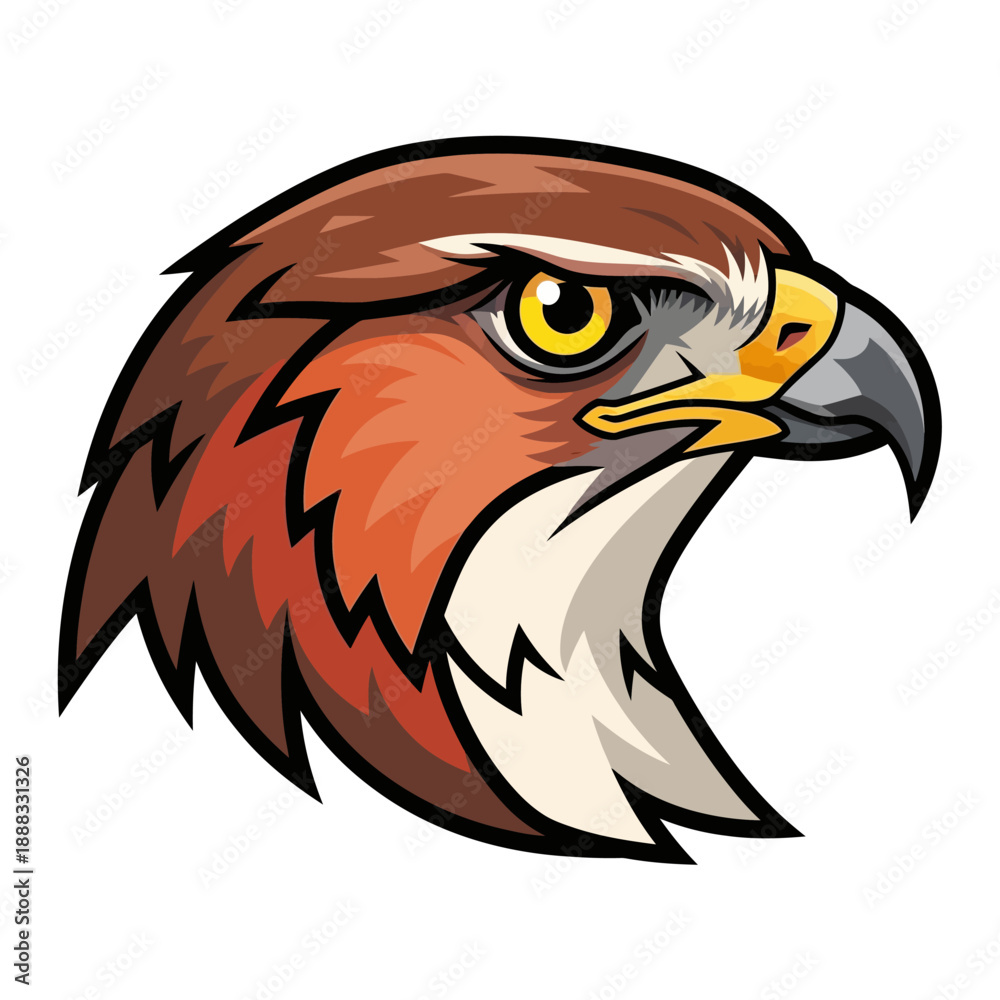Fototapeta premium Hawk Head Illustration - Fierce Predator Bird, Wildlife Art