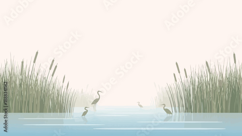 Heron Standing in Calm Water Scene.
