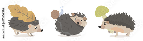 Collection vector hand drawn illustration set of cartoon hedgehog isolated on white background. Cute character wild forest animals with leaves, snail and mushroom.