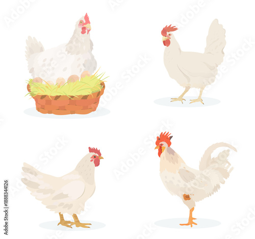 Cute cartoon farm Birds collection. Vector hand drawn illustrations of White chicken, eggs, hen and rooster isolated on white background. Set of poultry clip.