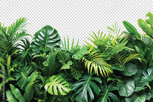 A lush arrangement of various green tropical leaves against a transparent background