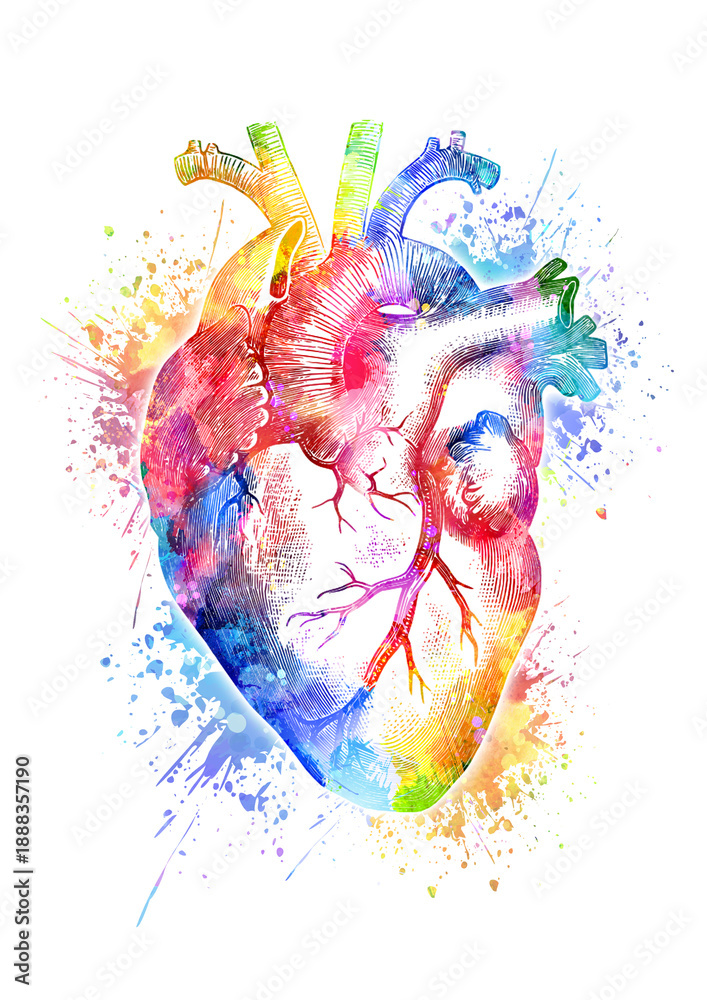 Obraz premium colorful heart painted watercolor
