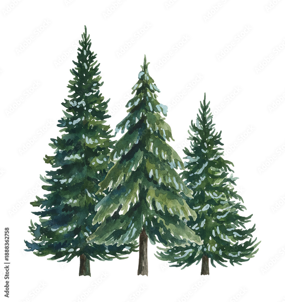 Fototapeta premium Three beautiful evergreen pine trees with snowy branches in a lovely watercolor illustration style on a white background