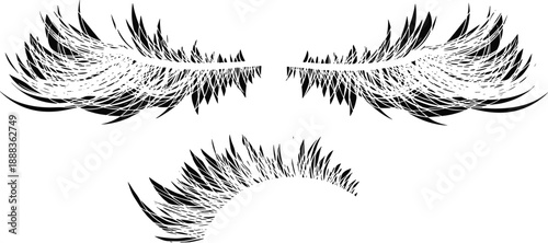 Black grunge eyelash set vector illustration dramatic false lashes beauty makeup cosmetic fashion salon branding isolated design elements