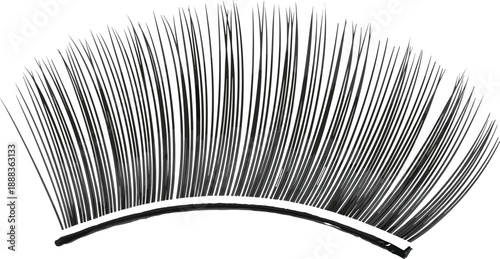 Realistic false eyelash strip vector illustration long natural lashes beauty makeup cosmetic extension tool isolated design element