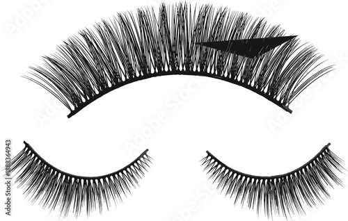False eyelash extension set with multiple styles isolated on white background beauty makeup cosmetic salon fashion vector illustration