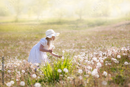 a girl in a sunny meadow is picking dandelions