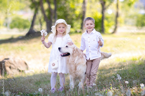 happy children with dandelions and a big dog on a sunny lawn