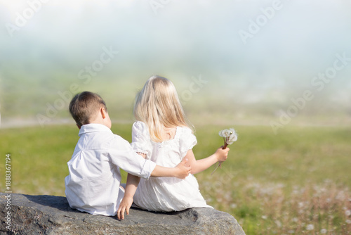 Brother wants to hug his sister now, sitting on a rock in a sunny meadow