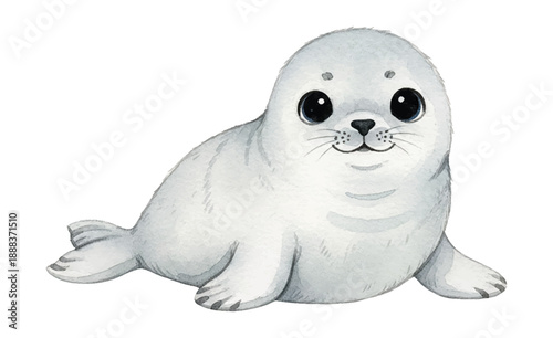 Cute happy baby seal pup with big black eyes smiling and lying down with playful bubbles