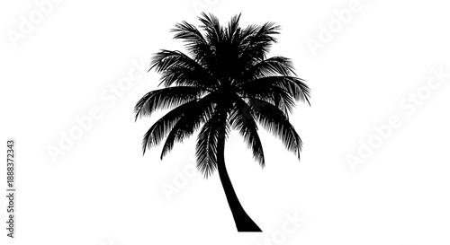 A lone palm tree stands tall on a sunny tropical island beach