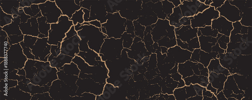 Vintage texture black and white to create the design. Vector. Eps10