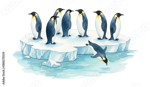 Several Emperor Penguins Standing on an Ice Floe While One Dives Into Cold Blue Water in a Group