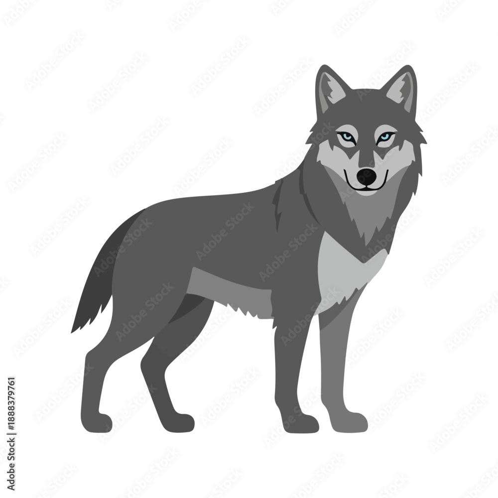 Fototapeta premium Stylized Gray Wolf Illustration Standing Vector Graphic