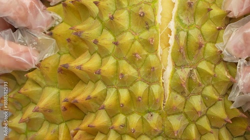 Slow motion macro of hands prying open a fresh durian segment to reveal its creamy yellow flesh.