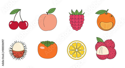 Colorful fruits illustration isolated on white background for design assets