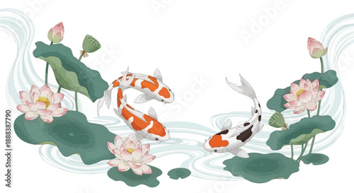 Serene Koi Fish Swimming Among Pink Lotus Flowers and Green Water Lilies in Calm Pond