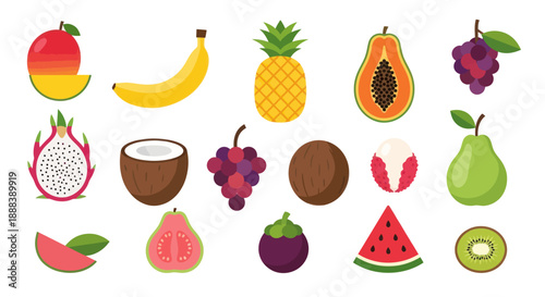 Colorful tropical fruits collection in vector style isolated on white background