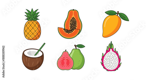 Colorful tropical fruits pineapple papaya mango coconut guava dragon fruit