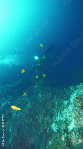 Diver with oxygen tank observes underwater environment