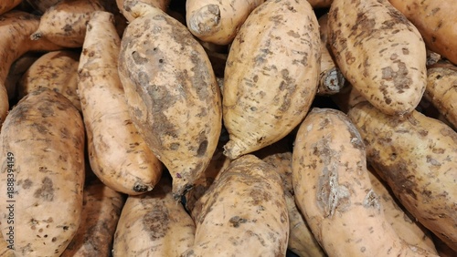 Close up pile of fresh sweet potatoes sold at the market as a background.