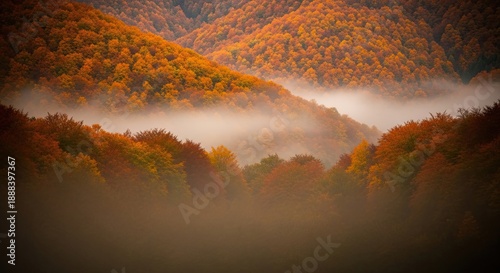 Autumn mist in mountain valley