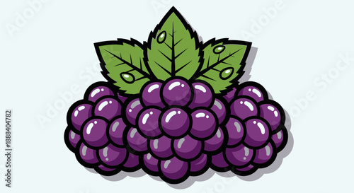 Colorful cartoon illustration of a bunch of ripe blackberries with green leaves on a light