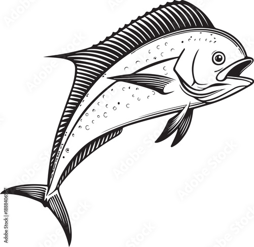 Mahi-Mahi (Dolphinfish) Fish Hand-drawn Sketch Drawing Vector Illustration, Line Linear Symbol Engraving Coloring Book, Black and White Isolated
