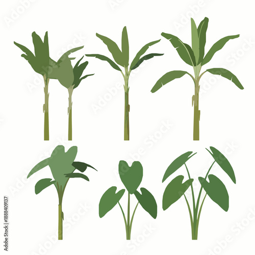Realistic Banana Tree and Taro Plant 3D Cut Out Set for Digital Composition and Architecture