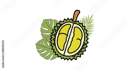 illustration of fresh durian fruit with tropical leaves in a cartoon style for food illustration