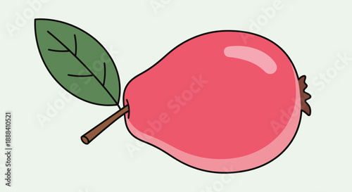 Simple Digital Illustration of a Pear with Leaf for Educational Use and Creative Projects