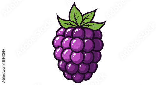 Illustration of a bunch of ripe purple blackberries with green leaves on a white background