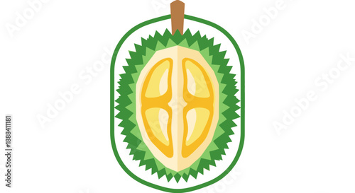 Animated illustration of a durian fruit cut in half showcasing its spiky green exterior and yellow