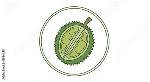 Illustration of a durian fruit cut in half revealing its yellow flesh and spiky exterior