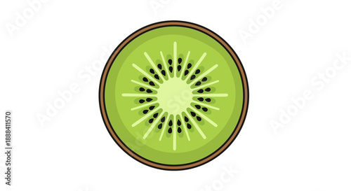 Cross-sectional illustration of a fresh kiwi fruit showcasing its vibrant green flesh and tiny