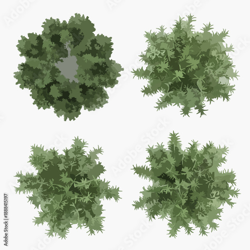 Top View Common Juniper and Rosemary Trees 3D Isolated Set for Architecture and Design