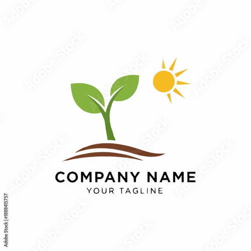 Growing Seedling with Sunlight - A Symbol of Growth and Sustainability.