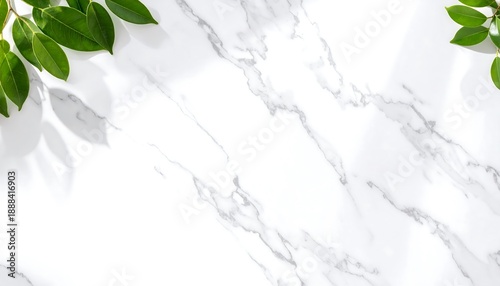 Exquisite minimalist 3D background featuring soft leaf light reflections dancing on a pristine white marble surface. This elegant composition showcases organic highlights, subtle gray veining, and a c