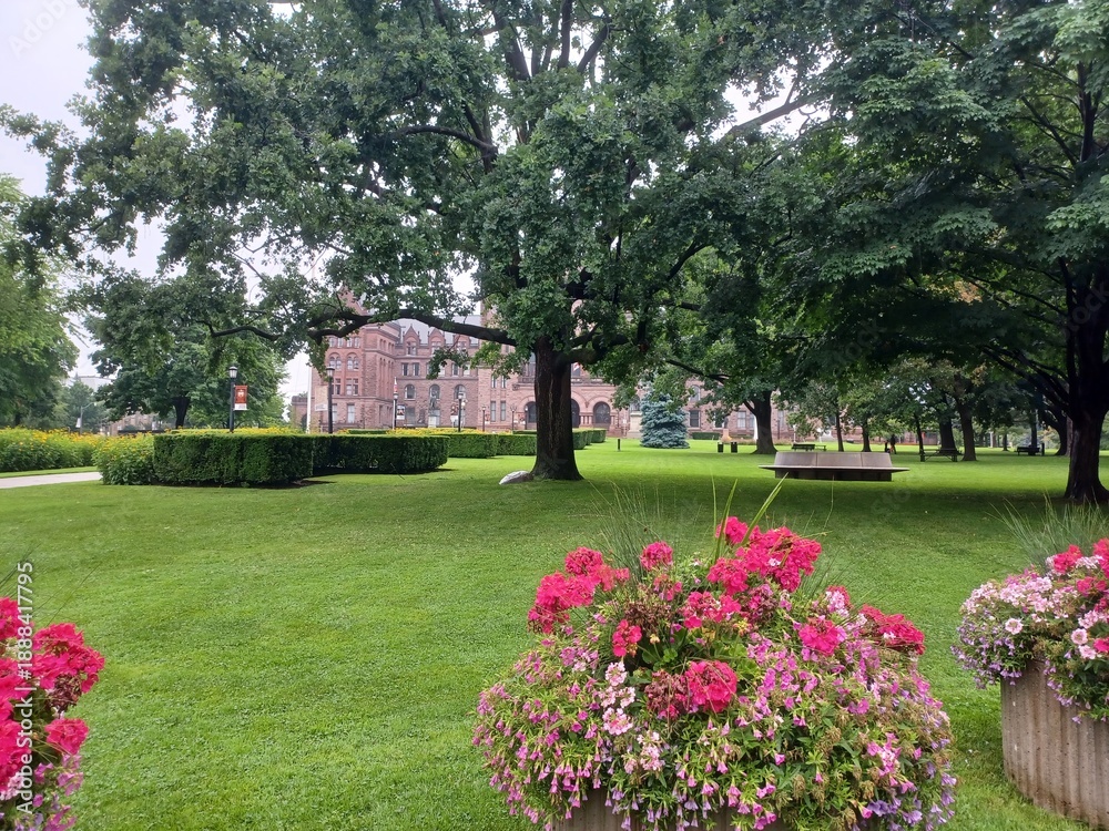 Obraz premium Green city park sunny afternoon