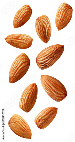 Wallpaper Mural Group of Whole Almonds Falling in the Air on a Transparent Background. PNG. Torontodigital.ca