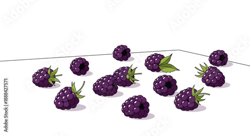 Several fresh blackberries on a white surface