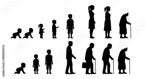 Silhouette of Human Life Stages from Baby to Elderly, Male and Female