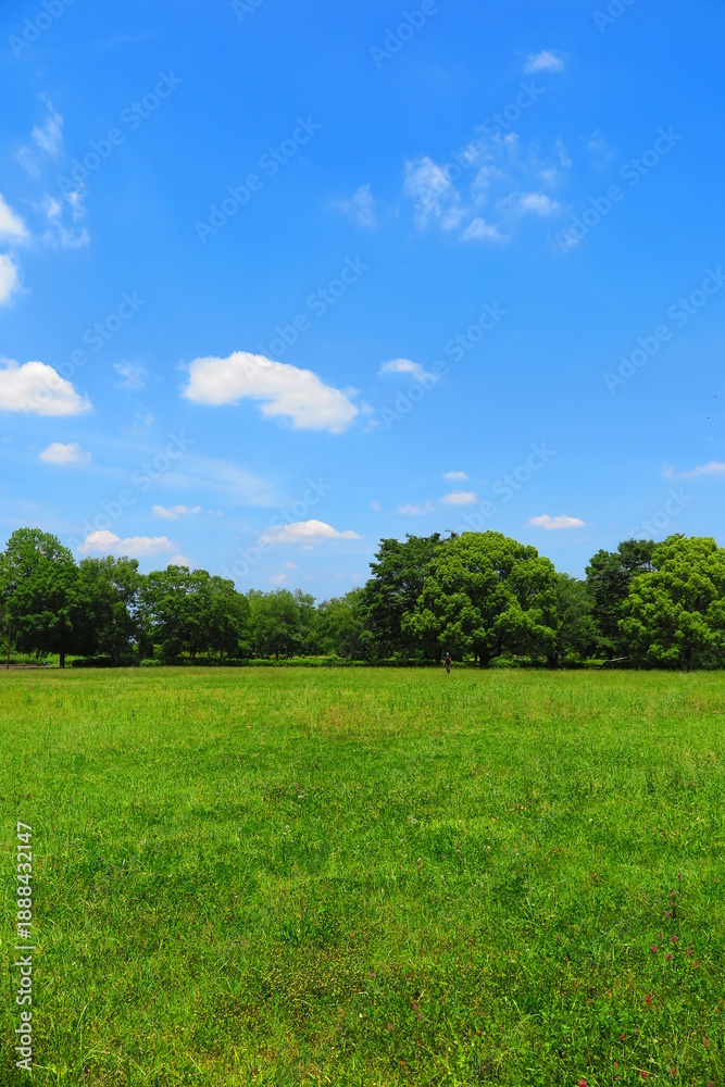 Obraz premium 青空、白い雲、緑の木々、芝生の広場、風景4