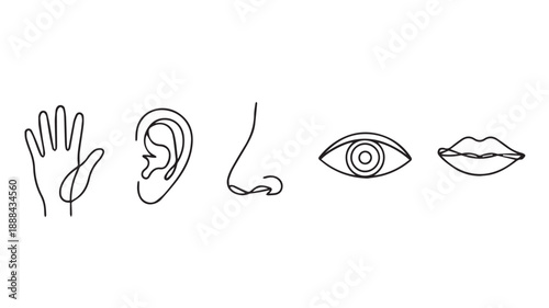 Minimalist Line Art Depicting Human Sensory Organs Hand, Ear, Nose, Eye, and Mouth