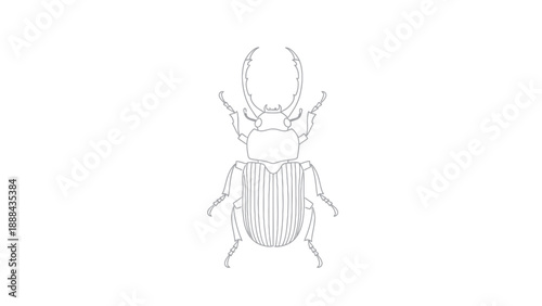 Stag Beetle Outline Illustration, Insect Vector Art, Minimalist Bug Drawing